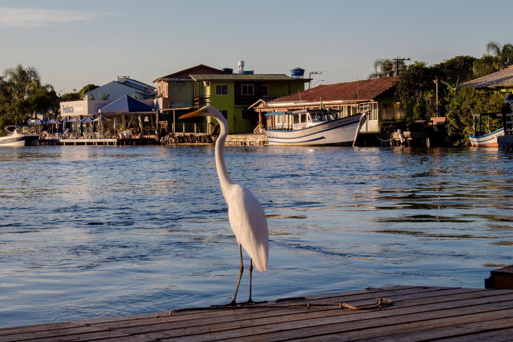 Pousada Quinta Da Margem Florianopolis Luaran gambar
